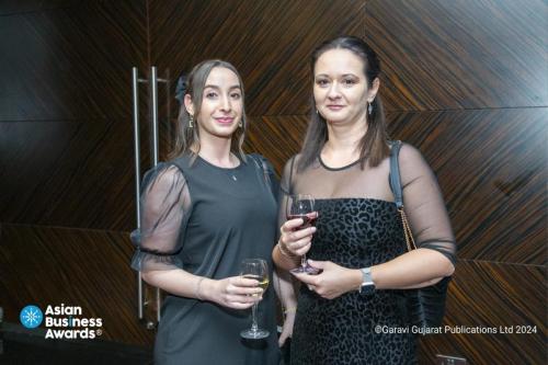 New-Project-2024-12-30T231140.442